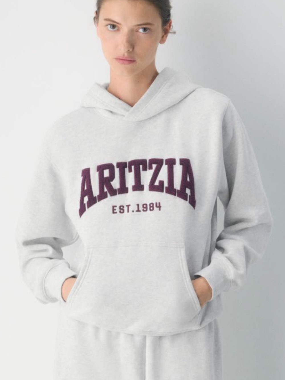 Aritzia Sweatfleece Perfect Fit Hoodie with Logo*